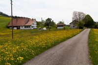 Chilchrietstrasse 5