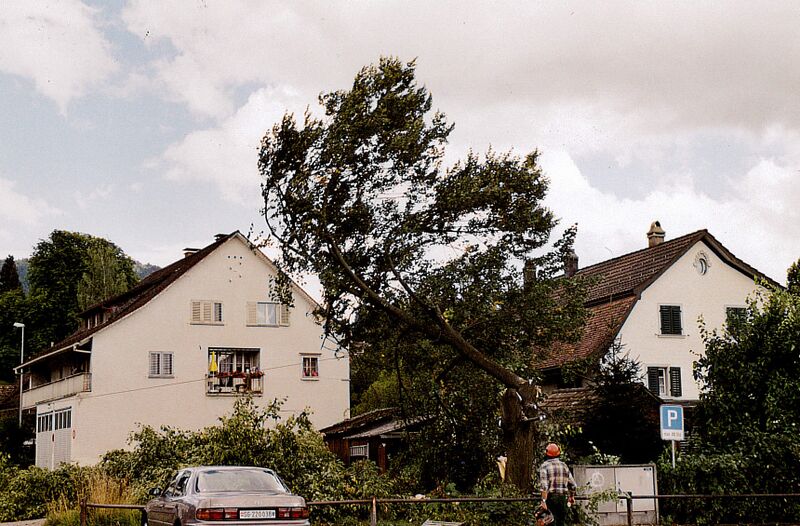 Datei:20040813 Gemeindeplatz Hinwil Baumfällung.jpg