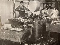 Masshard Sauerkraut, Kabis wird eingesalzen, undatiert