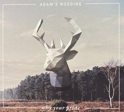 Foto des Mediums (Einband) von „why your pride“