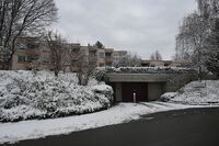 Alterssiedlung Wihalde, Rohn-Salvisberg-Stiftung, 2026