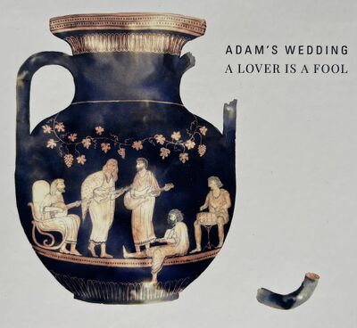 Foto des Mediums (Einband) von „A Lover is a Fool“
