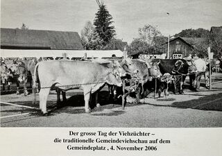 Gemeindeviehschau auf dem Gemeindeplatz, 4. November 2006