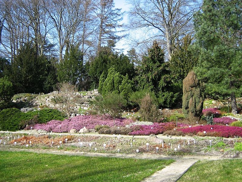 Datei:Ein Teil des botanischen Gartens, 2007.jpg