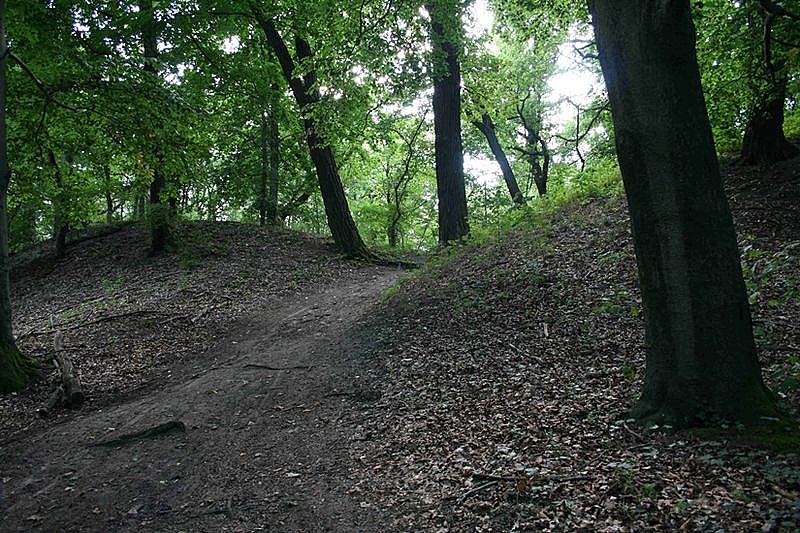 Datei:Römerschanze, Walltor, Sacrow, 2009 wiki.jpg