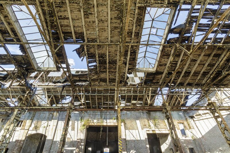 Datei:045 Lockschuppen .jpg