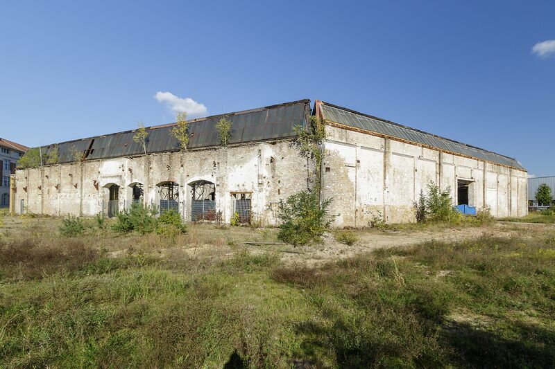 Datei:040 Lockschuppen .jpg