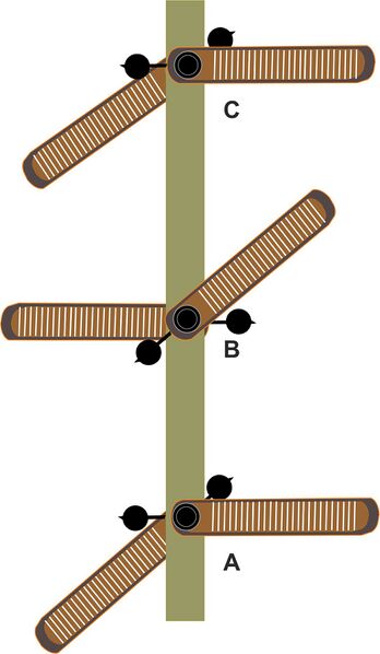 Datei:Indikator.jpg
