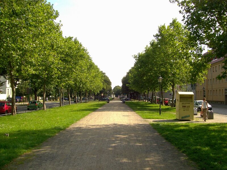 Datei:Mauerstreifen, 2008, Olaf Dettmann.jpg