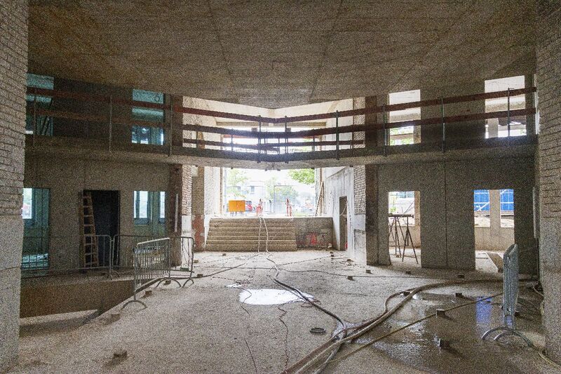 Datei:175 Lockschuppen .jpg