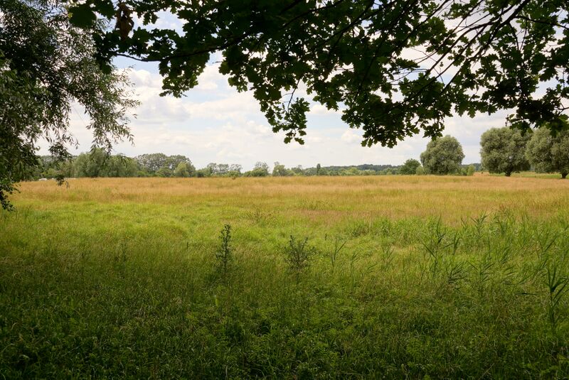 Datei:Wallanlage am Voßberg.JPG