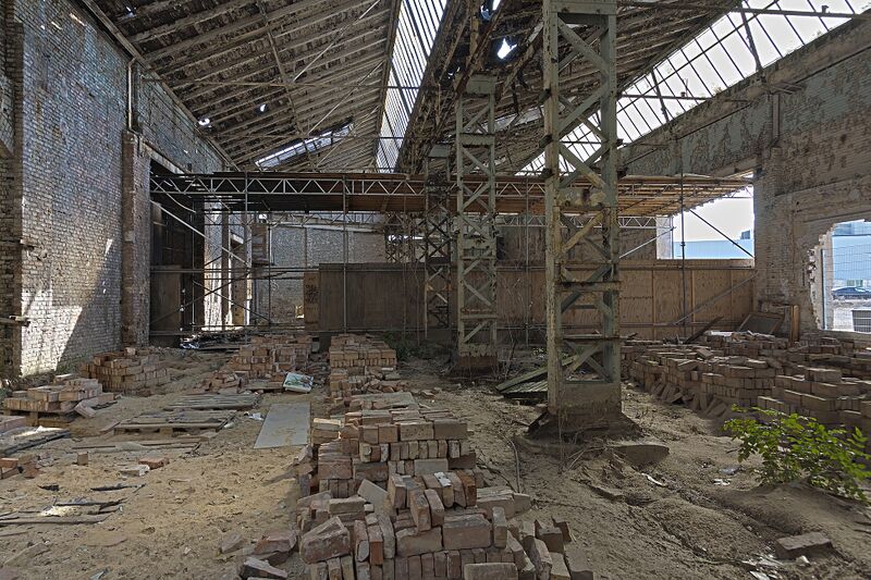 Datei:026 Lockschuppen .jpg