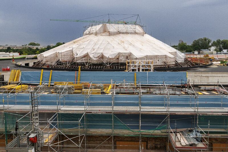 Datei:186 Lockschuppen .jpg