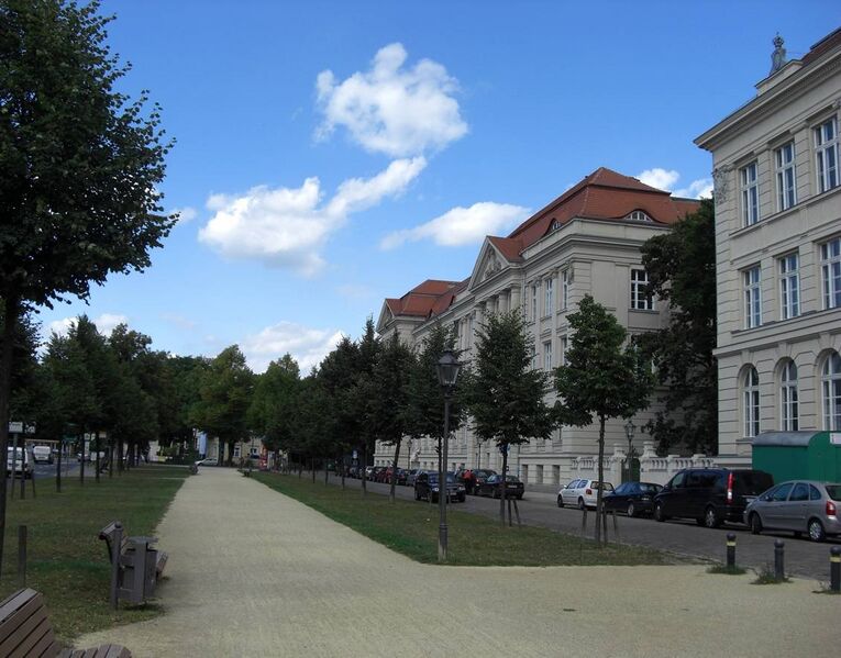 Datei:Schopenhauer Str. mit Mauergrundstück, 2008.jpg