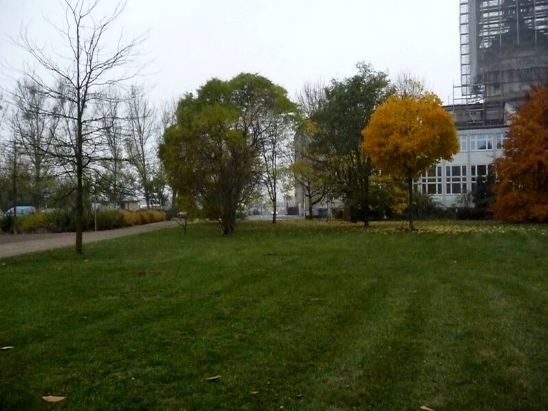 Datei:Blücherplatz, Blick zur Brauerstr., 2008.jpg