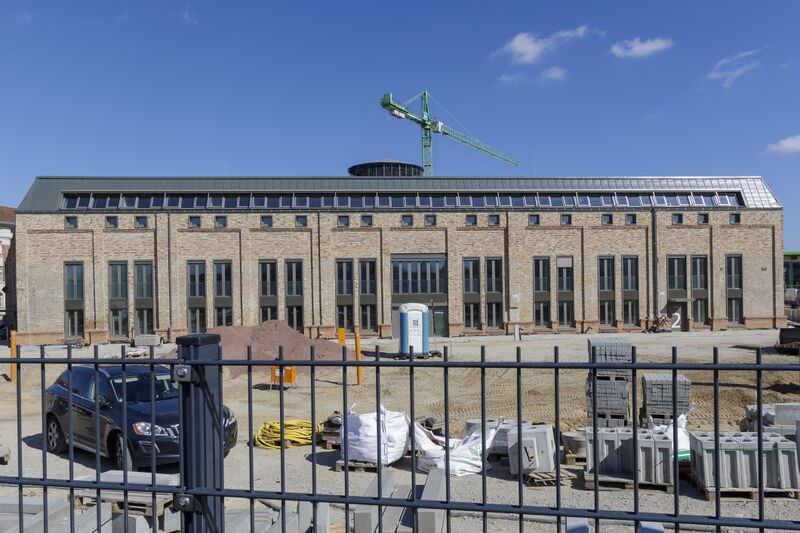 Datei:214 Lockschuppen .jpg