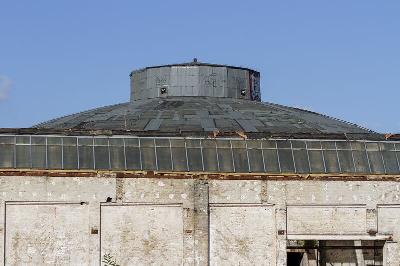 Datei:036 Lockschuppen .jpg