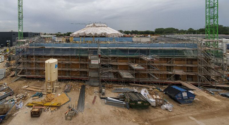 Datei:190 Lockschuppen .jpg