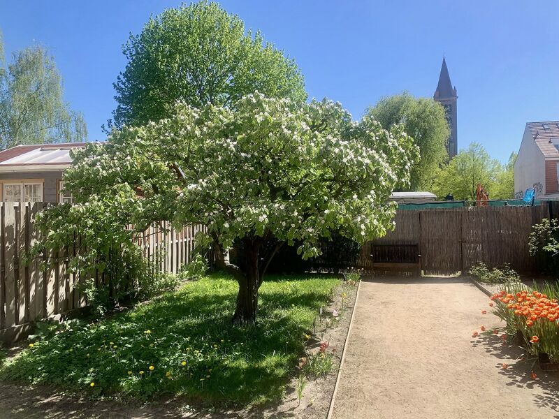 Datei:Musuem JanBoumanHaus Garten (5).jpg