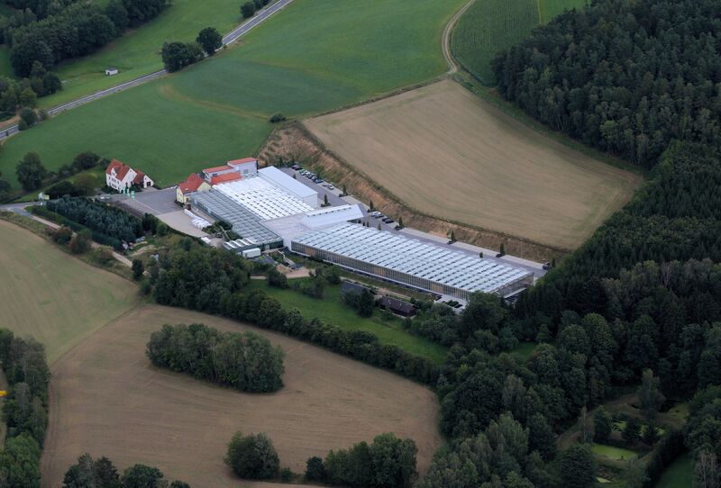 Datei:Oberviechtach Baumer 2020 03.jpg