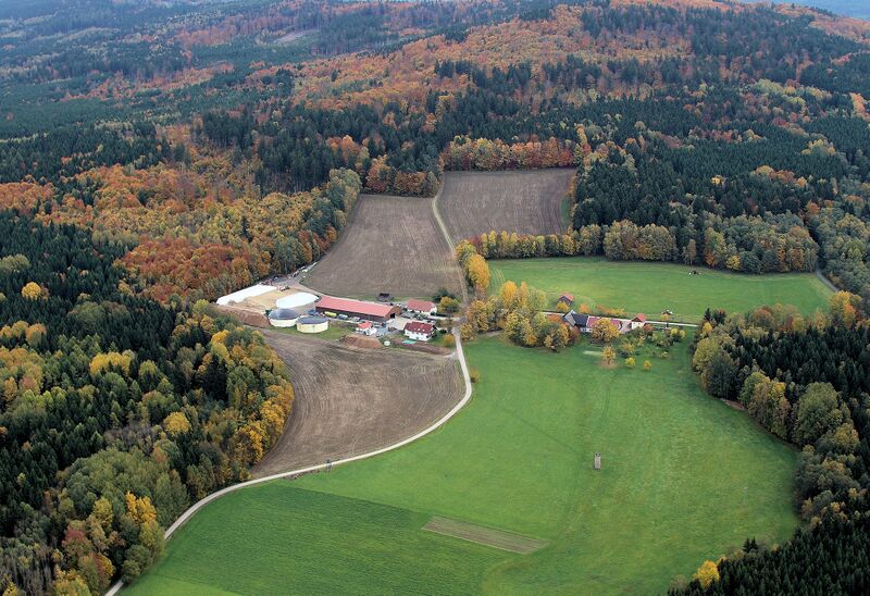 Datei:Polster (Schönsee) 2017 01.jpg