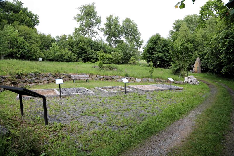 Datei:Tännesberg Geologischer Lehrpfad 2025 05.jpg