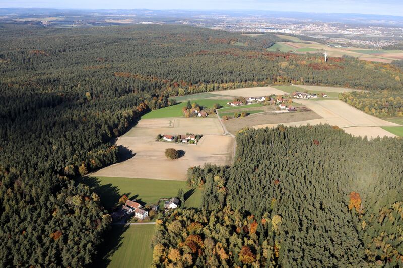 Datei:Pistlwies (Burglengenfeld) 2025 02.jpg