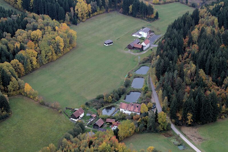 Datei:Lindau (Schönsee) 2017 02.jpg