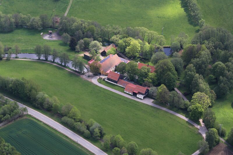 Datei:Dietersberg (Schönsee) 2024 02.jpg