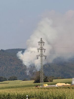 Waldbrand am Johannisberg