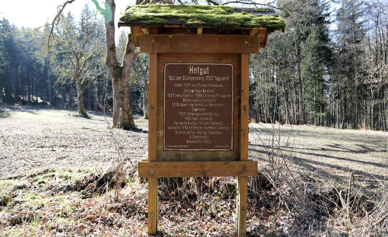 Datei:Stangenberg (Oberviechtach) 2026 02.jpg