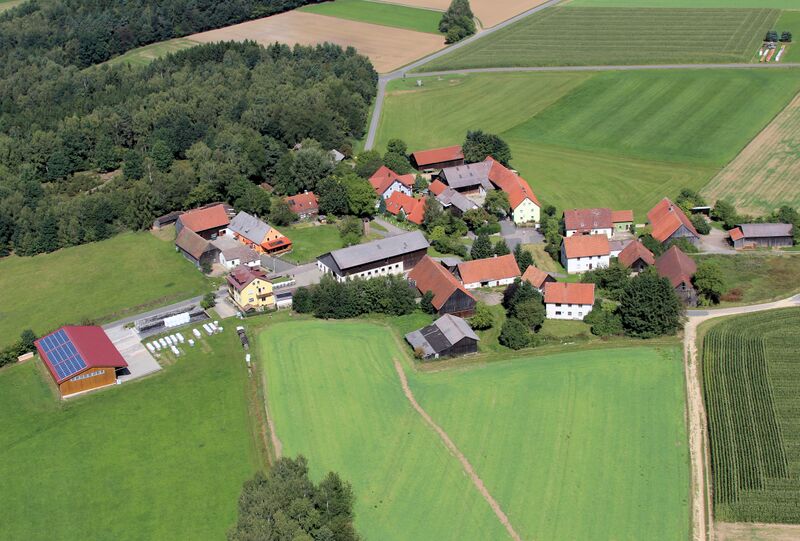 Datei:Burkhardsberg (Teunz) 2017 03.jpg