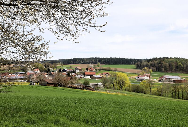 Datei:Großenschwand (Tännesberg) 2023 03.jpg