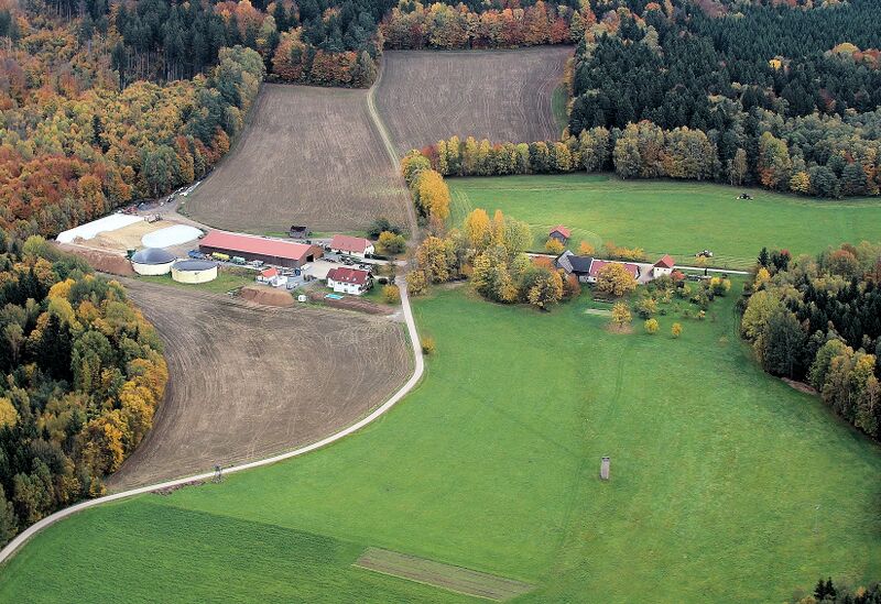 Datei:Polster (Schönsee) 2017 02.jpg