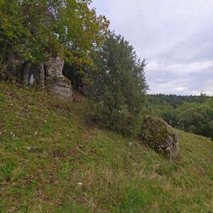 Mariengrotte unterhalb der Felskrone in Wieselbruck