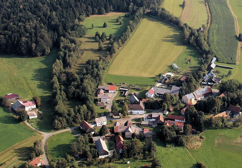 Datei:Laub (Schönsee) 2016 01.jpg