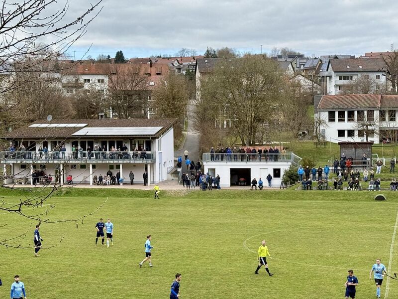 Datei:SVF.jpg