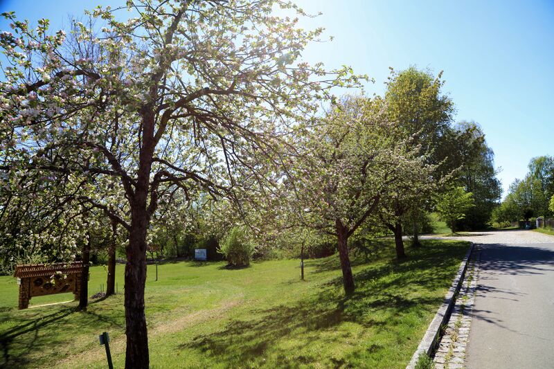 Datei:Dieterskirchen Obstlehrpfad 2026 03.jpg
