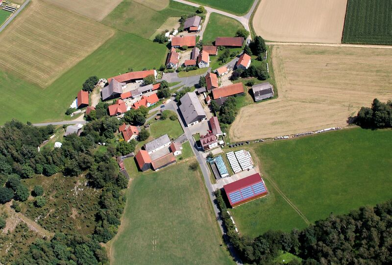 Datei:Burkhardsberg (Teunz) 2012 02.jpg