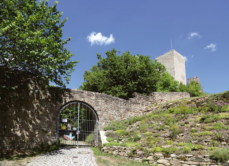 Datei:Burgruine Haus Murach 2022 01.jpg