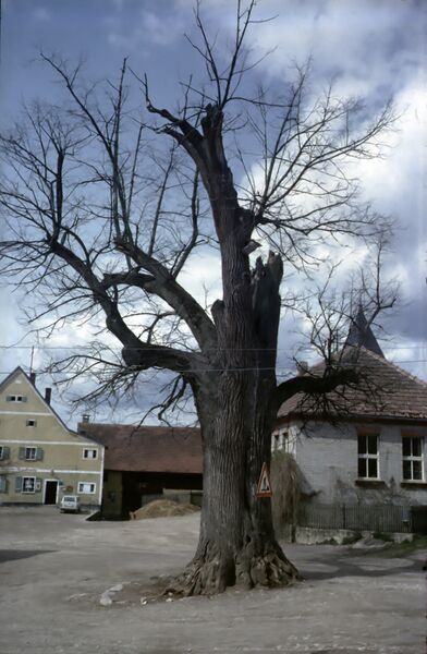 Datei:MZAS 65085 Ammerthal Bild 3.jpg