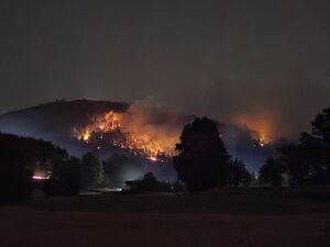 Waldbrand am Johannisberg