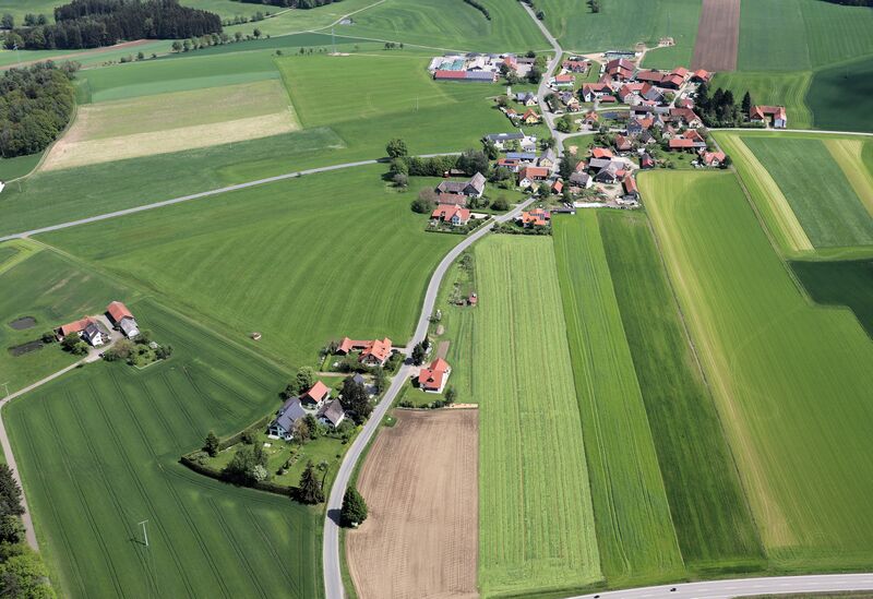 Datei:Forst Nunzenried 2024 01.jpg