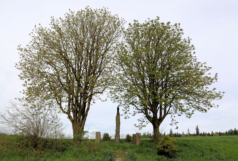Datei:Großenschwand (Tännesberg) 2023 05.jpg