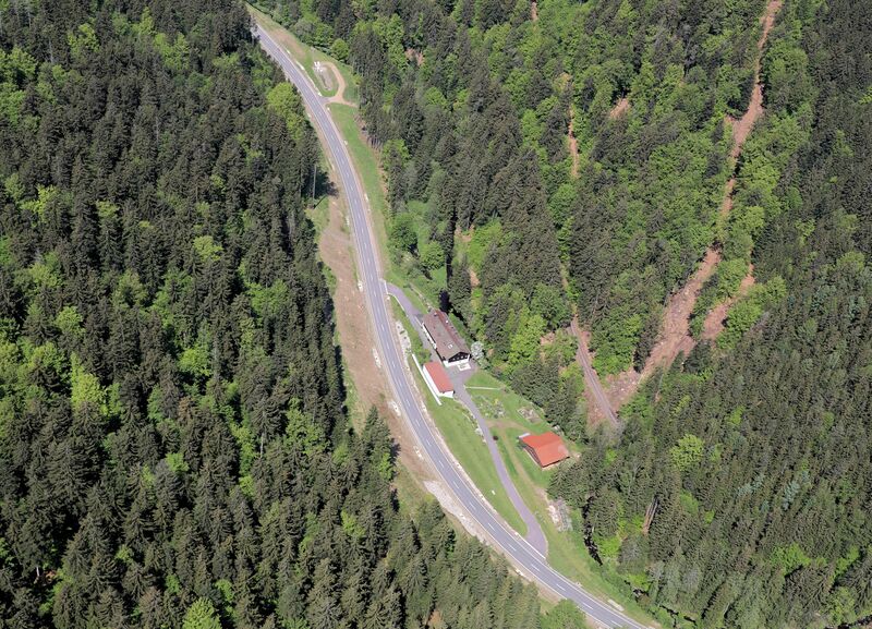 Datei:Schönsee Rosenthal 2024 01.jpg