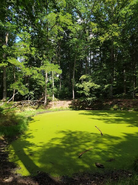 Datei:Keyhüll - Ansicht West.jpg