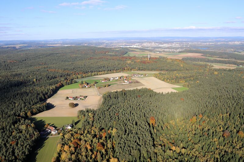 Datei:Pistlwies (Burglengenfeld) 2025 01.jpg