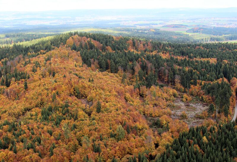 Datei:Stangenberg Mitterlangau Pirk 2017.jpg