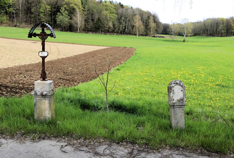 Datei:Großenschwand (Tännesberg) 2023 07.jpg