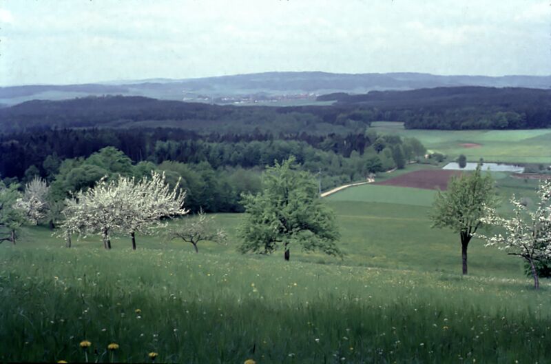 Datei:MZAS 65047 Sulzbach-Rosenberg Bild 17.jpg
